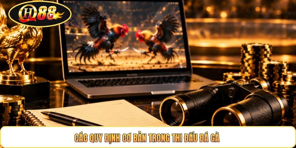 Các quy định cơ bản trong thi đấu đá gà