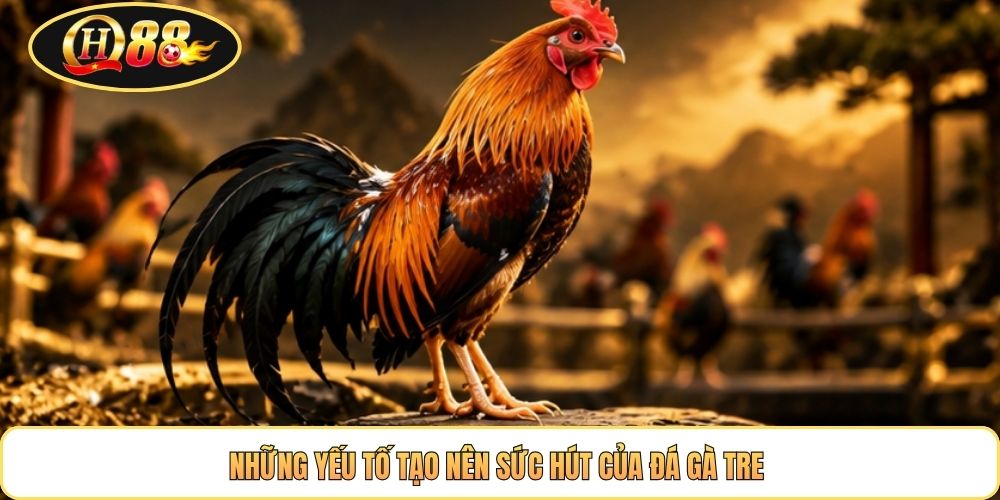 Những yếu tố tạo nên sức hút của đá gà tre